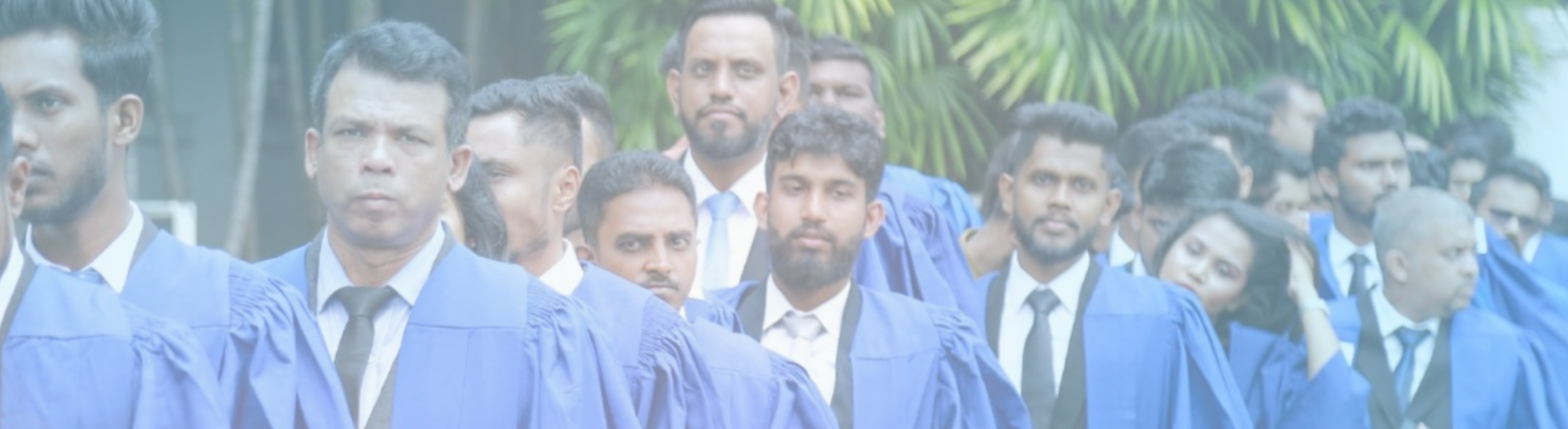 AIMS Professional Services - Academic Pillar